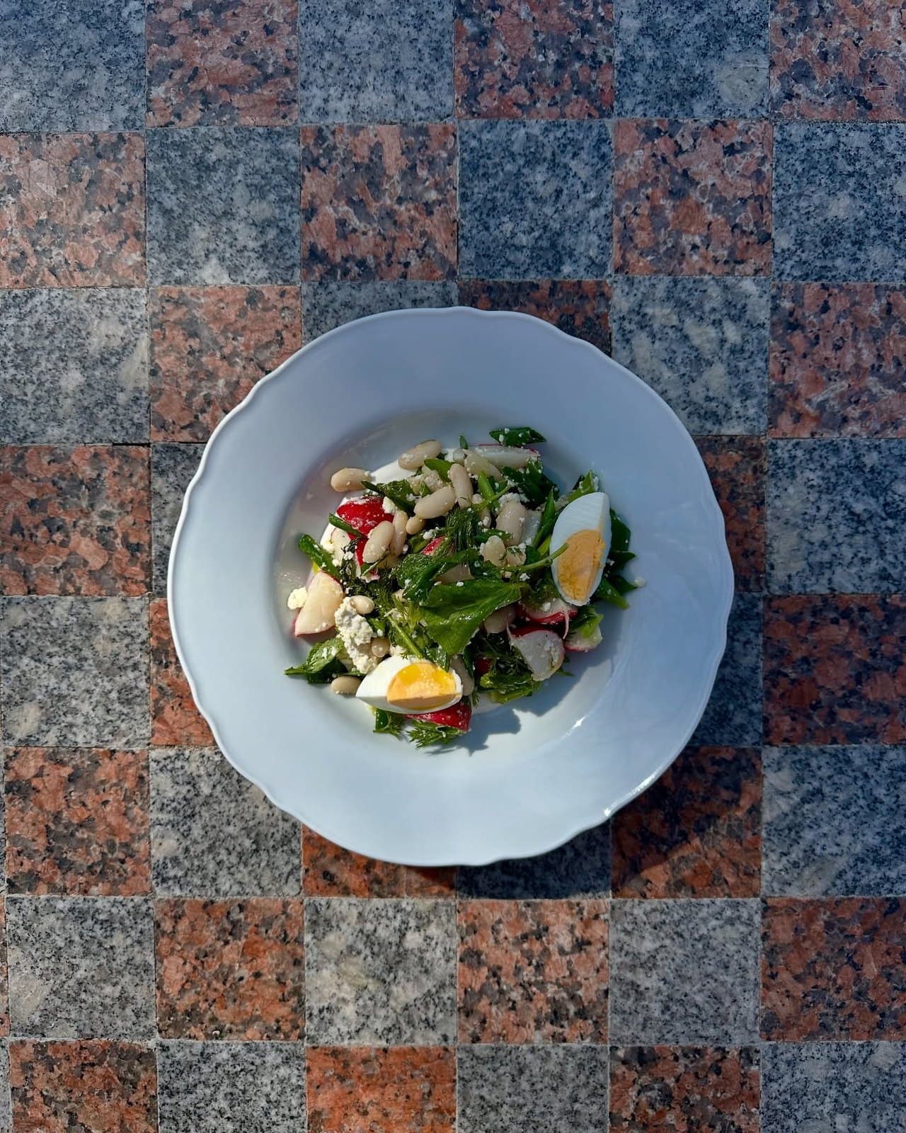 (ridiche, ceapă verde, fasole boabe, ou, urdă de capră, frunze de ridiche, mărar, pesto de leurdă, vinegretă cu smântână și lămâie – )